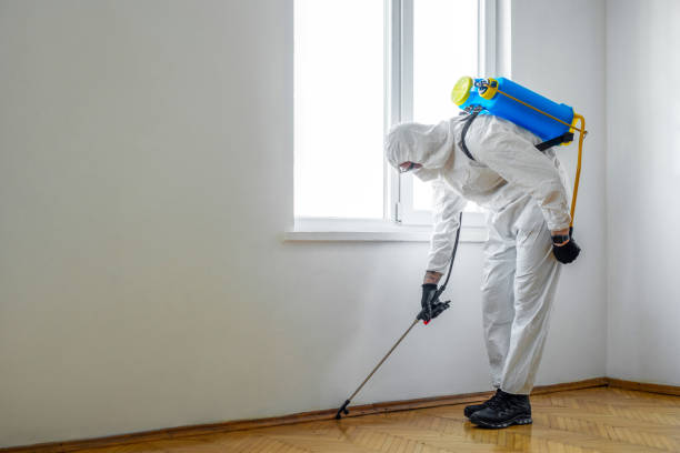 Best Affordable Pest Control Services  in Hardin, MT