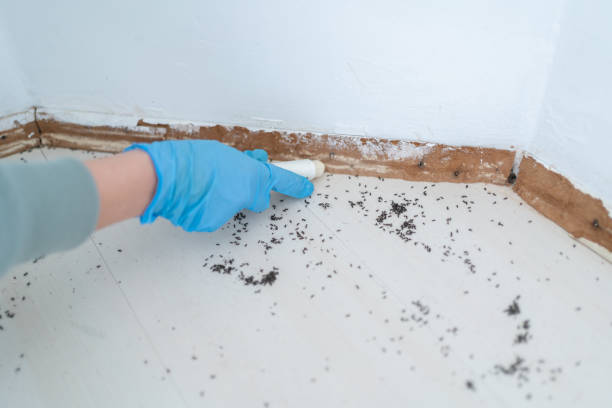 Pest Control Cost in Hardin, MT